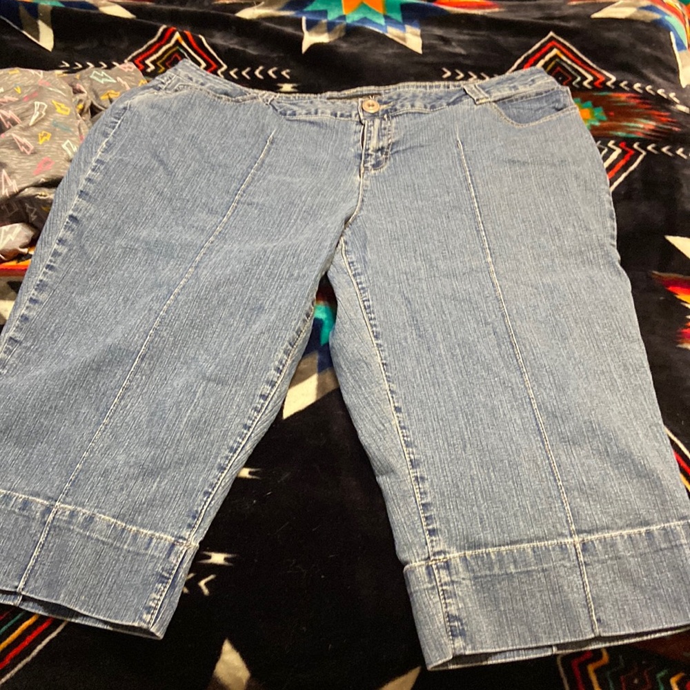 Venezia size 20W capris